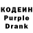 COCAIN Fish Scale Toha Korolchuk