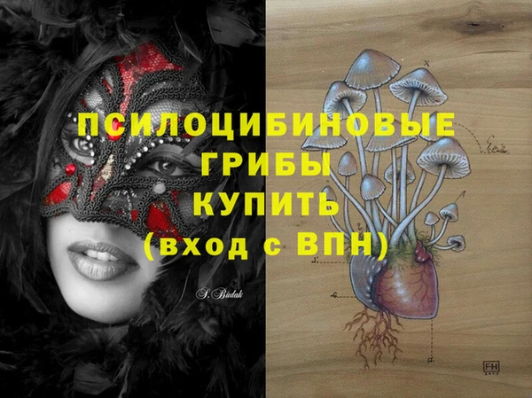 стаф Алексеевка