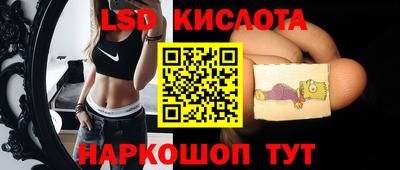 мдпв Бердск