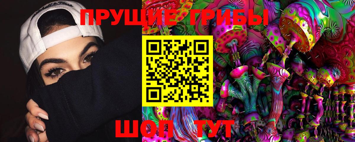 Галлюциногенные грибы прущие грибы  Псилоцибиновые грибы Cubensis  Осинники  Вход с VPN 
